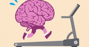 ورزش و عملکرد مغز