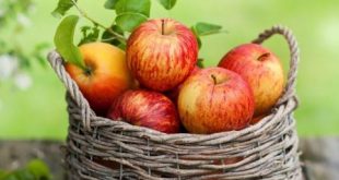 فواید مصرف سیب