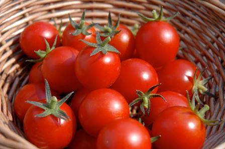 فواید مصرف گوجه فرنگی